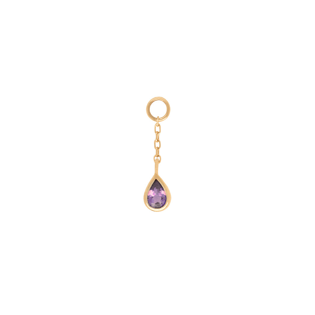 Concorde Charm + Chain with Amethyst